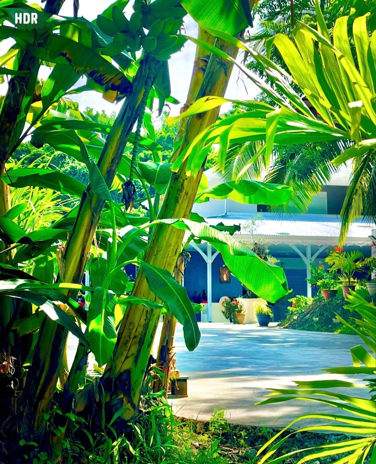Villa Rose Marie Calme Et Grands Espaces Le François Extérieur photo